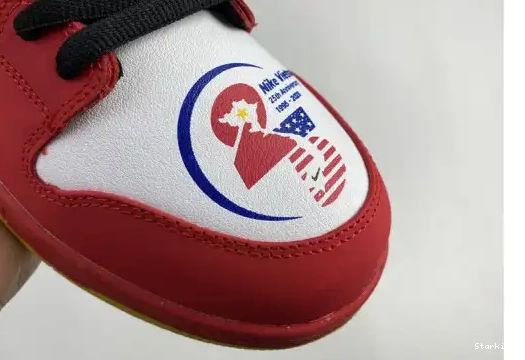 Low years 309242-307 25th Nike SB Dunk 0613